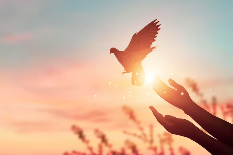 peace